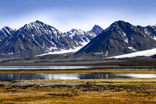 Landscapes